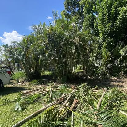 Overgrown lot before brush clearing by A1 Moto, Fort Pierce FL
