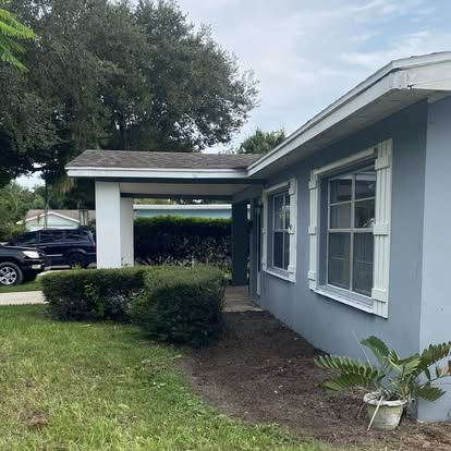 Professionally trimmed palm trees in Fort Pierce FL landscape