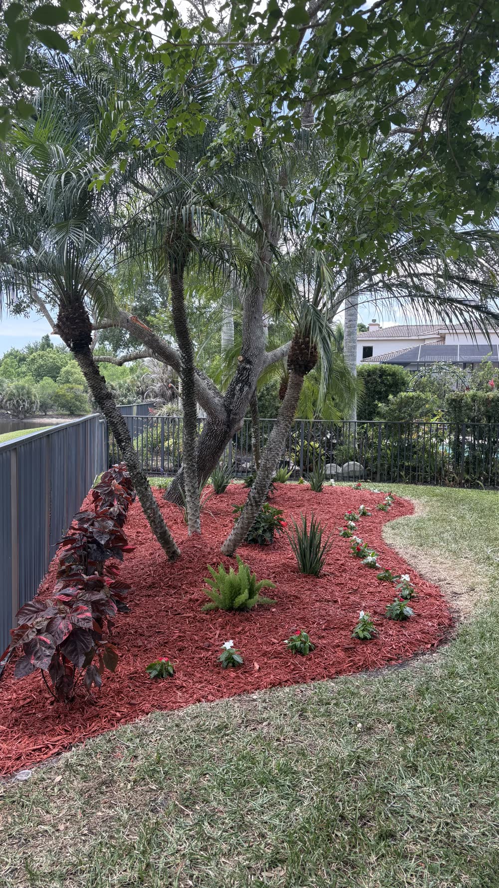 Finished red mulch bed with new tropical plantings by A1 Moto